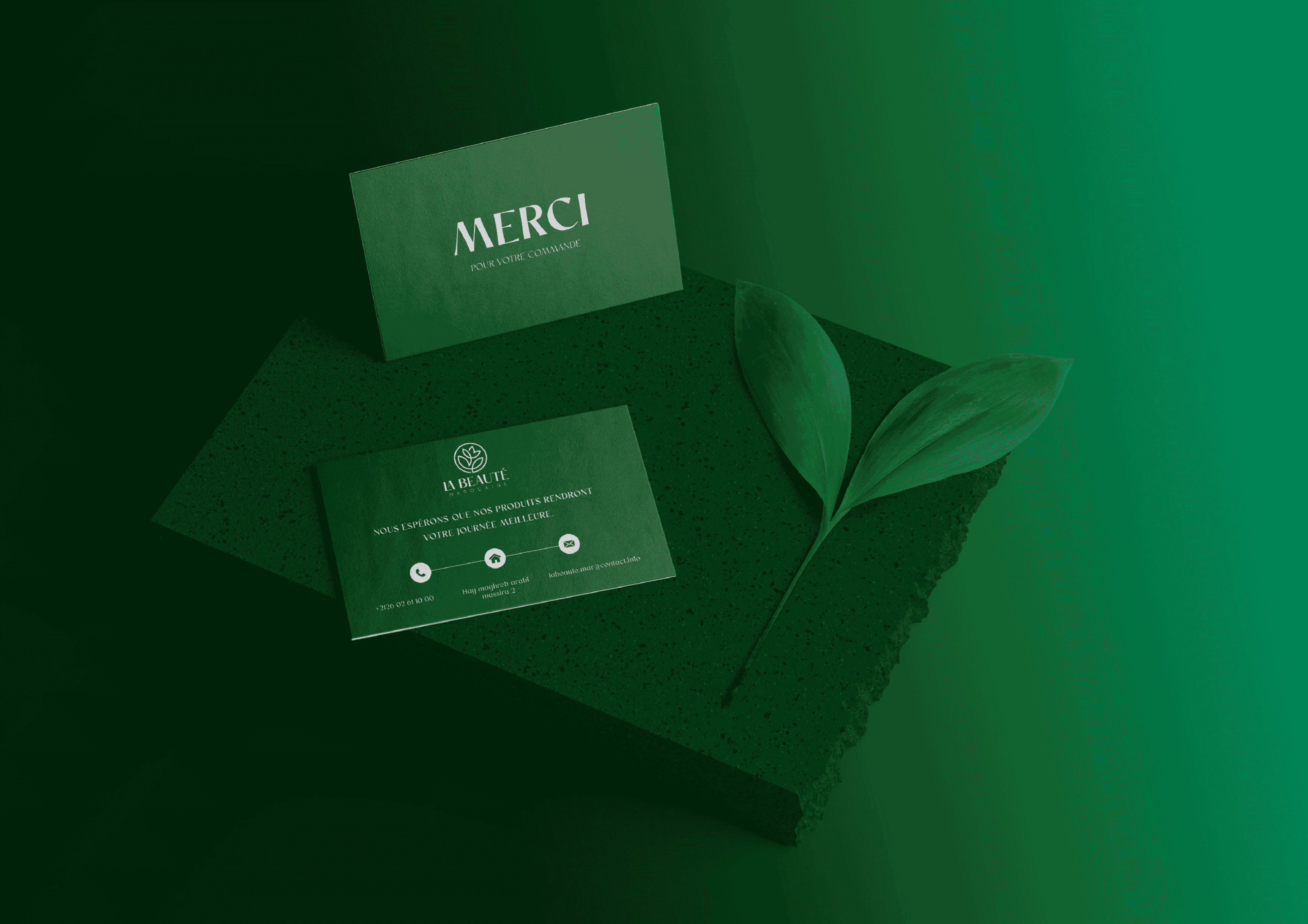 Modern Rebranding