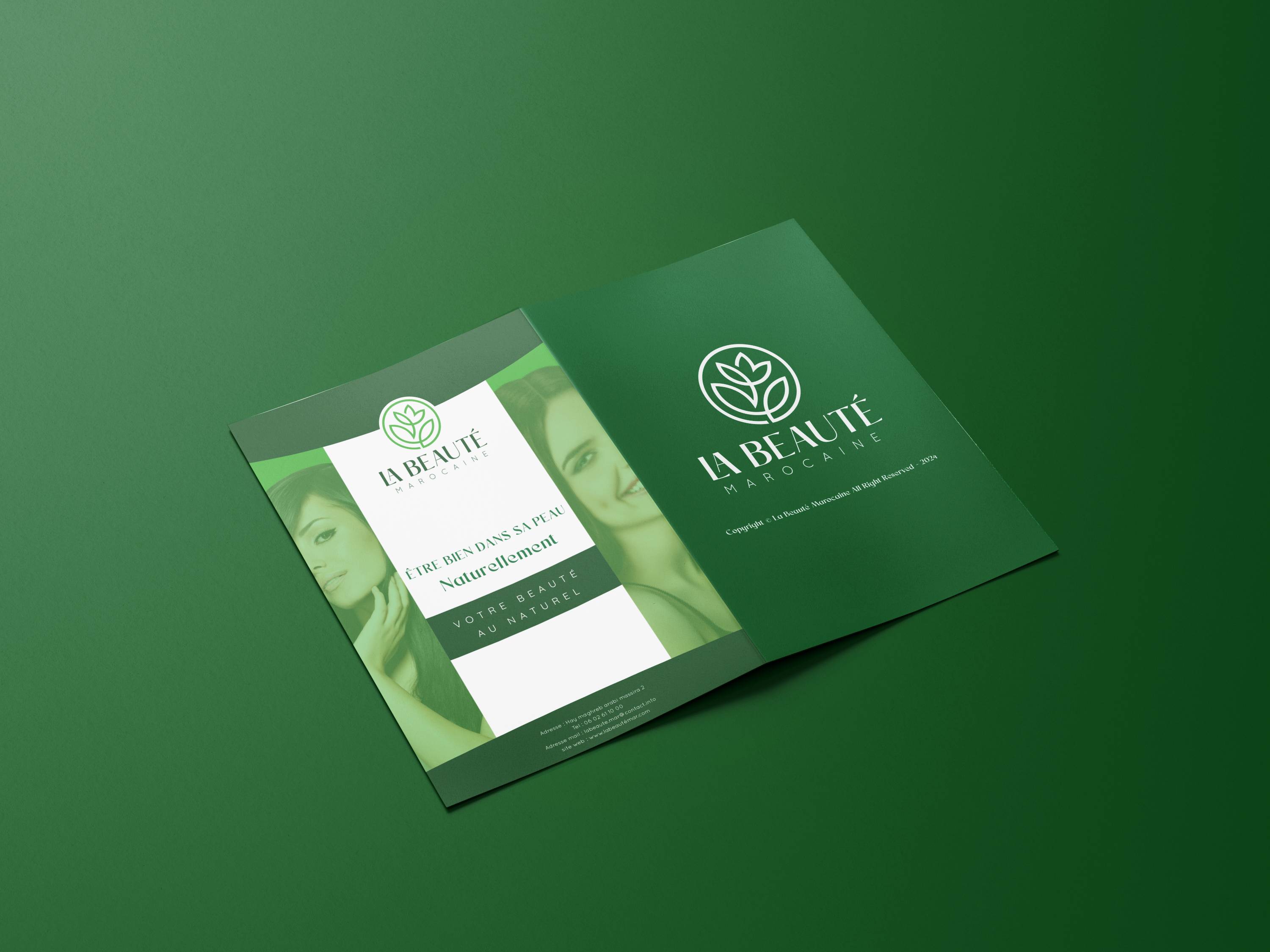 Typography & Color Systems